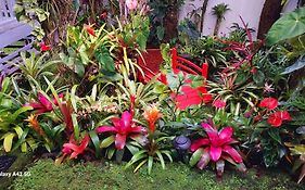 Paradise Cottage At Anthurium Hale